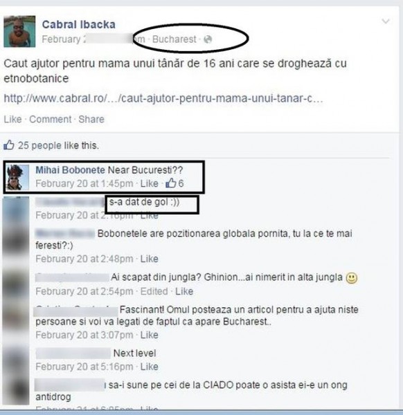 RTEmagicC_cabral-bun.jpg