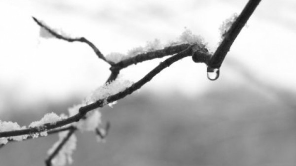 prognoza_meteo_trei_zile_ianuarie_87354000