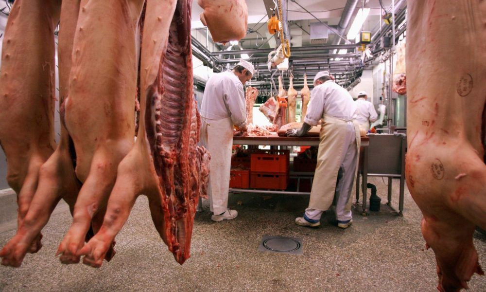 Germania a decis: Muncitorii sezonieri vor fi angajați de fermele pentru care lucrează