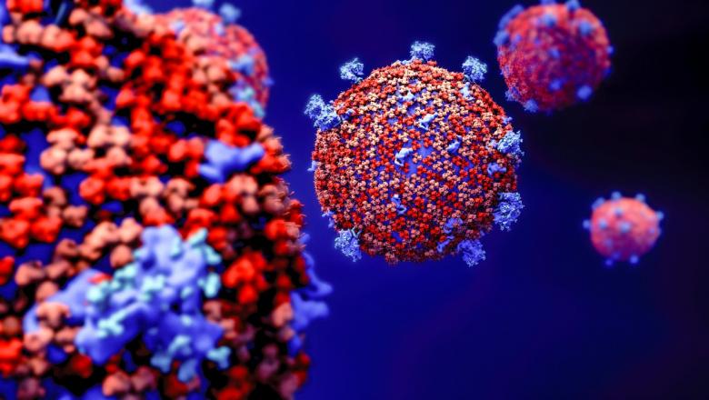 O echipă de cercetători au identificat enzimă că ajută COVID să însele sistemul imunitar