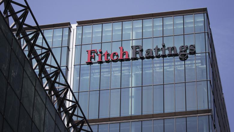 Agenţia Fitch Ratings avertizează