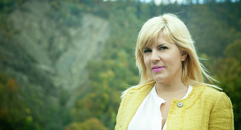 Fostul ministru al Dezvoltării Elena Udrea