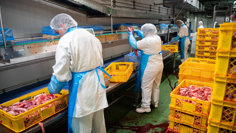 Germania în criză economică