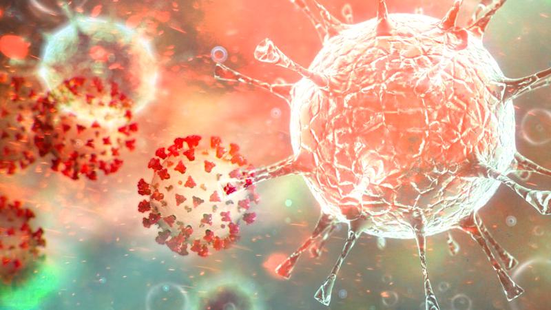 Virusul COVID-19 păcălește organismul uman și ajungem să fim infectați făra să avem habar
