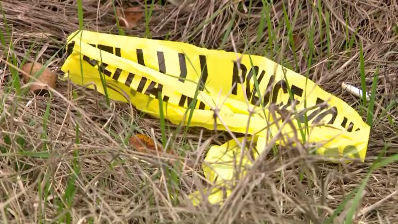 Anchetă la Giurgiu, pentru o crimă cu victimă neindentificată