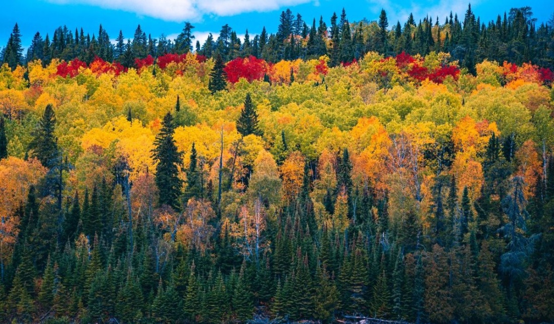 ANM anunţă cum va fi vremea pană pe 7 decembrie