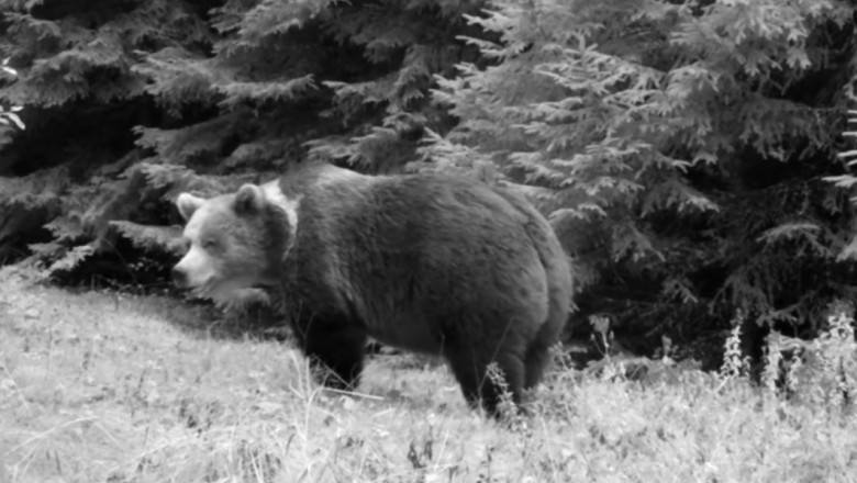 O cameră instalată