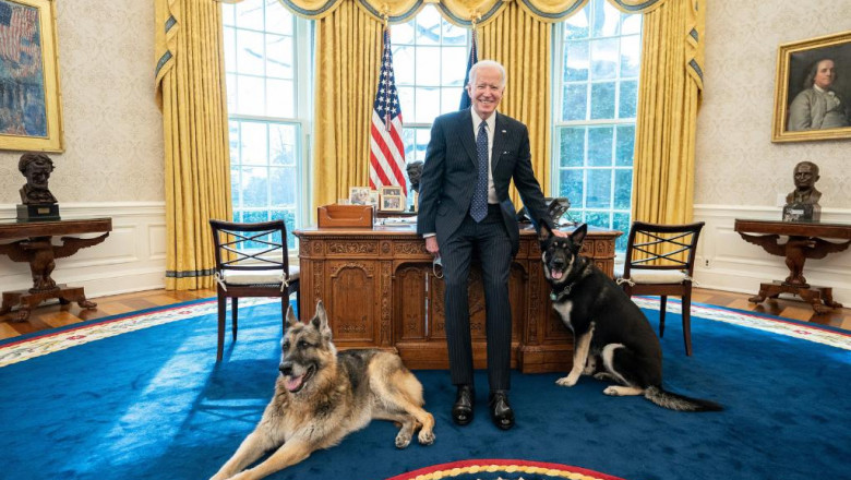 Președintele SUA, Joe Biden și-a adus câinii în Biroul Oval