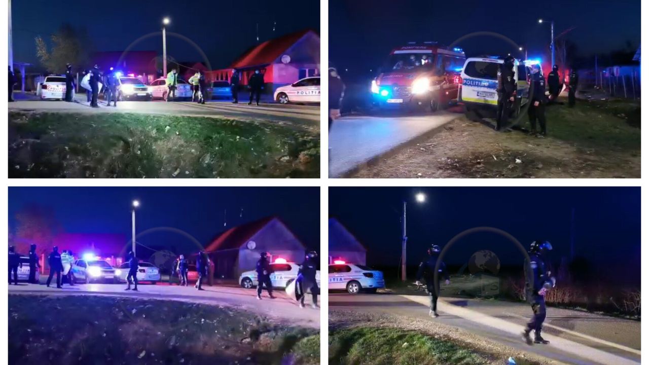 În Satu Mare, polițiști atacați cu bestialitate