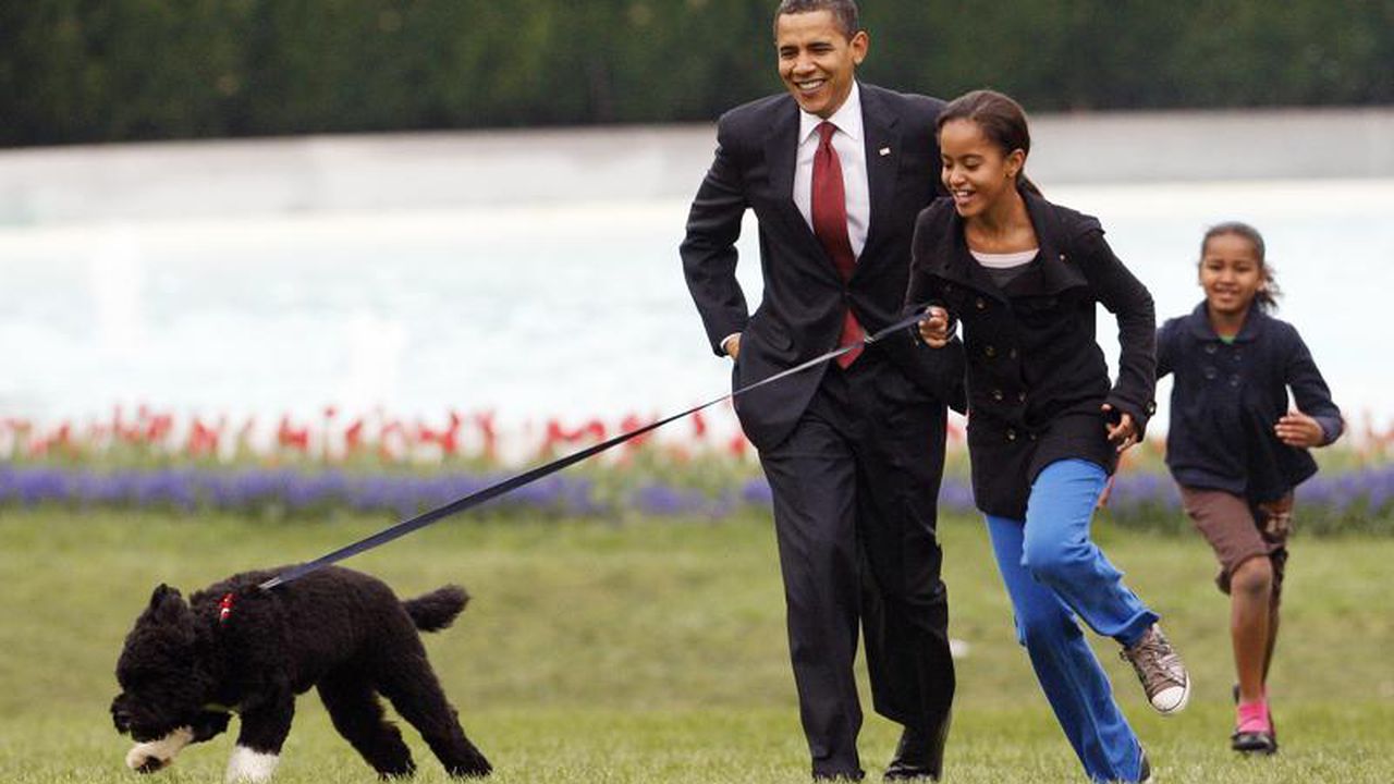 Bo, câinele lui Obama, a decedat. Patrupedul suferea de cancer