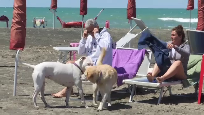 Lângă Roma a fost inaugurată o plaja pentru turiștii cu câini