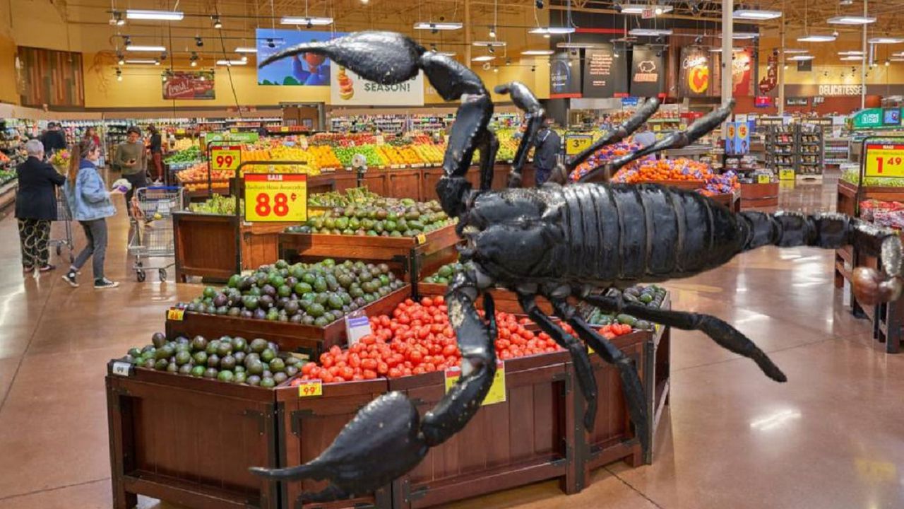 Angajata unui supermarket, mușcată de un scorpion aflat în cutia cu căpșuni