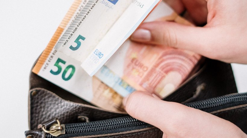 Germania oferă 1200 euro lunar unor voluntari care nu trebuie să facă... nimic