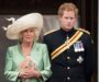 Prințul Harry a scos-o din minți și pe Camilla. Probleme între ducele de Sussex și regina consoartă a Marii Britanii