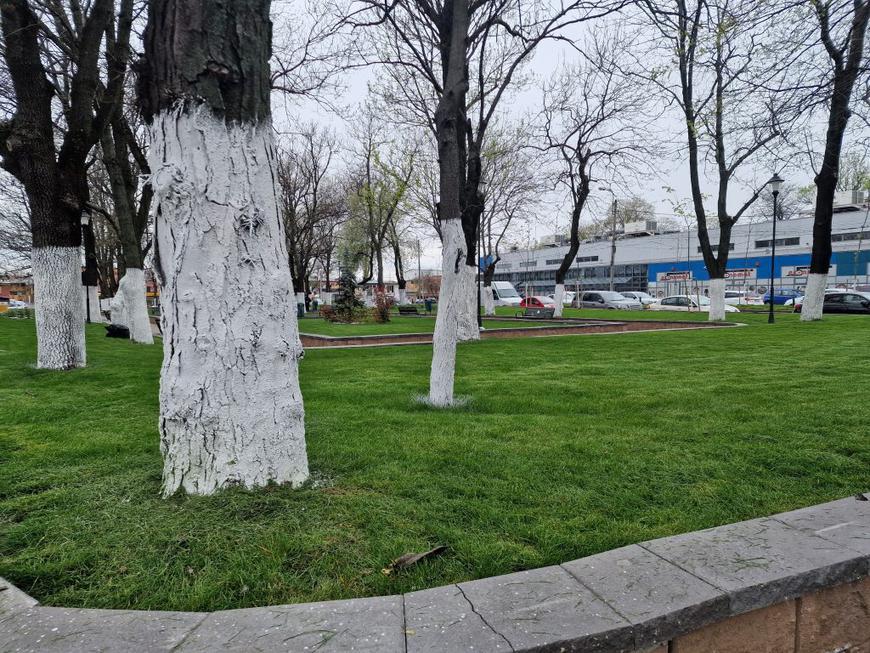 REPORTAJ. Garduri de doi metri, „ca la grădina zoologică”, în jurul blocurilor din Ferentari, înainte de Paște