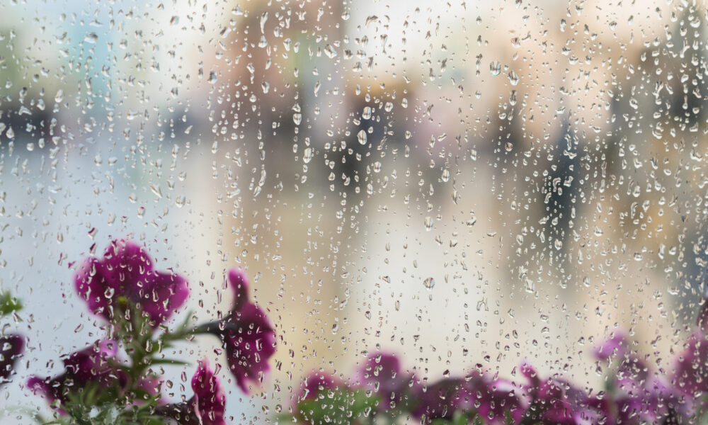 prognoza meteo