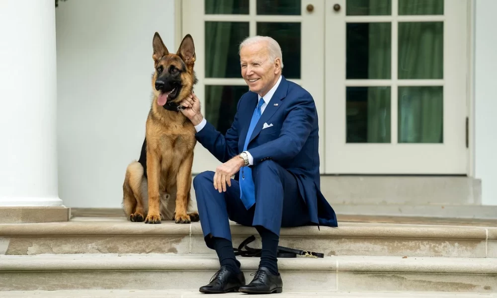 Câinele lui Joe Biden