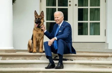 Câinele lui Joe Biden