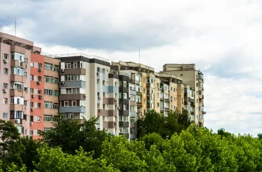 Proprietarii