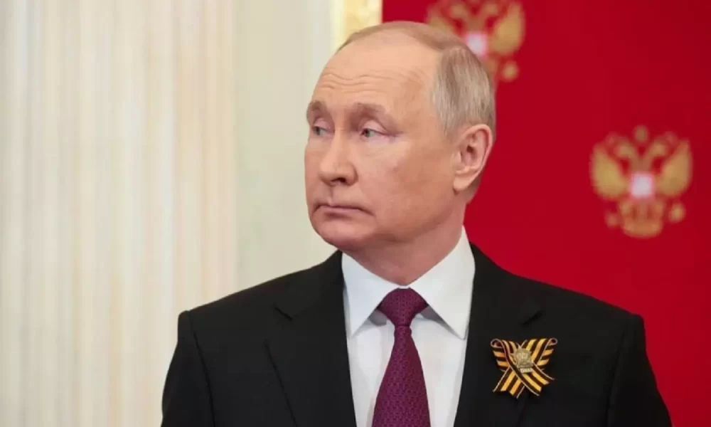 vladimir puti
