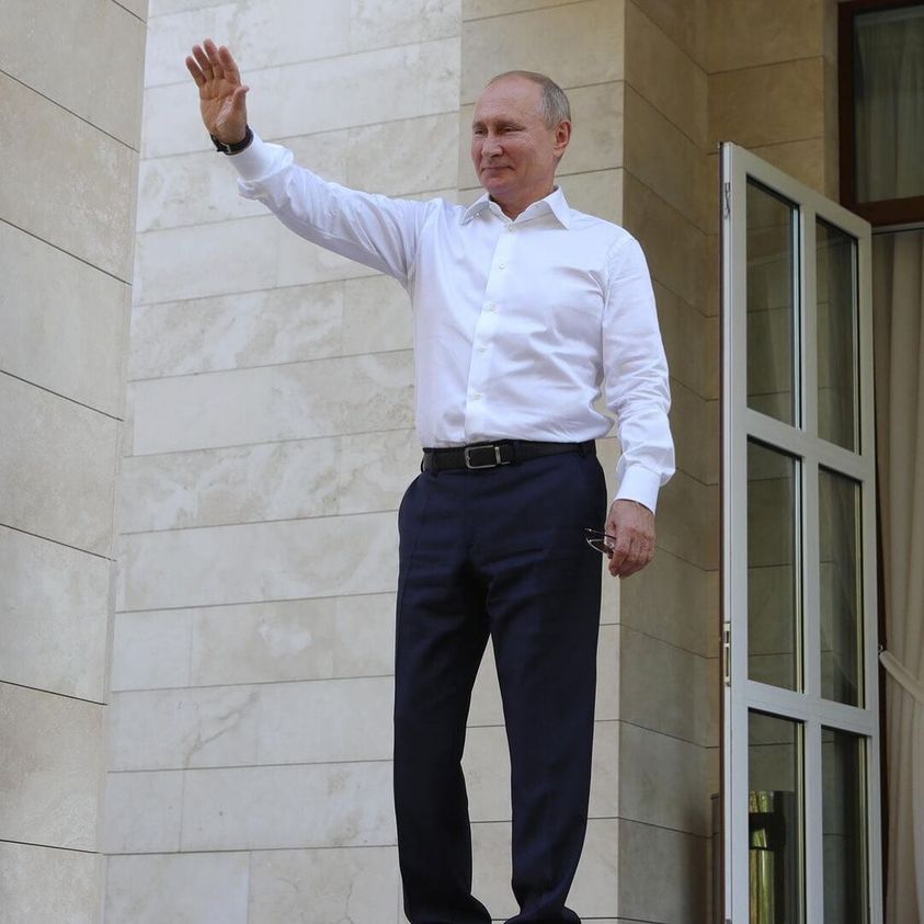 vladimir puti