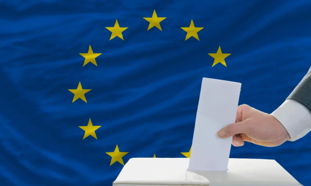 Alegeri europarlamentare
