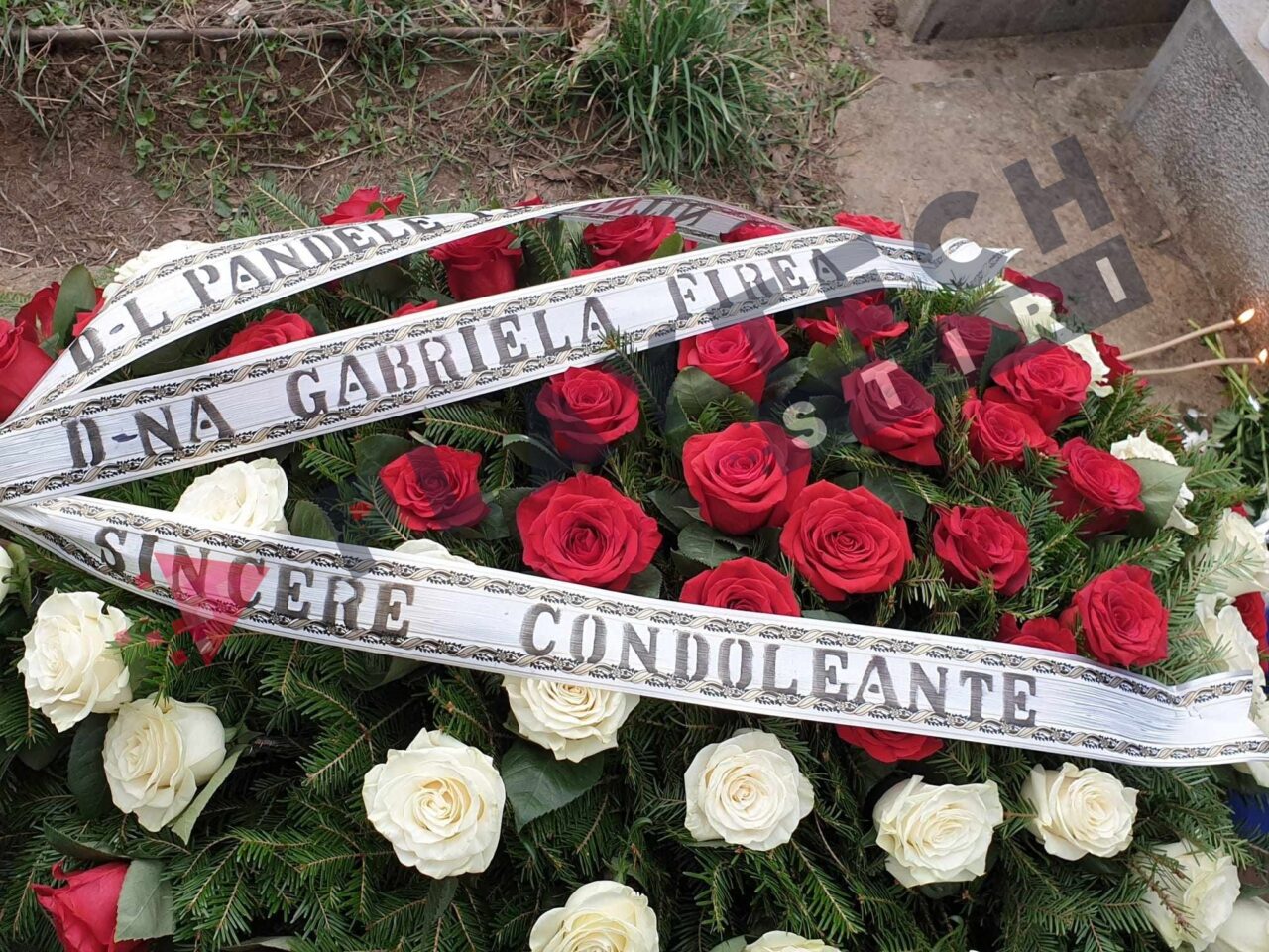Gafa făcută de Gabriela Firea la înmormântarea Mioarei Roman
Un alt aranjament floral, realizat din trandafiri albi și roșii, a atras atenția celor prezenți. Mulți nu au putut trece cu vederea un detaliu nepotrivit în astfel de cazuri. Coroana a fost trimisă de Gabriela Firea și soțul acesteia, Florentin Pandele.

Cei doi au ales să își treacă numele separat, semnându-se ca „domnul” și „doamna” – formule de adresare ce nu se folosesc în aceste situații.

„Sincere condoleanțe, d-l Pandele Florentin, d-na Gabriela Firea”

Te-ar putea interesa și: Ce scrie pe crucea Mioarei Roman. Detaliul pe care toți l-au observat abia la ieșirea din biserică EXCLUSIV

Prezent la înmormântare a fost și Mihai Mitoșeru. Vizibil emoționat, aceasta a vorbit despre durere imensă pe care o poartă acum în suflet buna sa prietenă, Oana Roman:

„Durerea aceasta nu trece niciodată. Oana pare puternică, dar nu cred că e”, a spus vedeta.