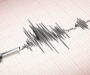 Cutremur în Vrancea în urmă cu puțin timp. Ce magnitudine a avut și la ce adâncime a fost?
