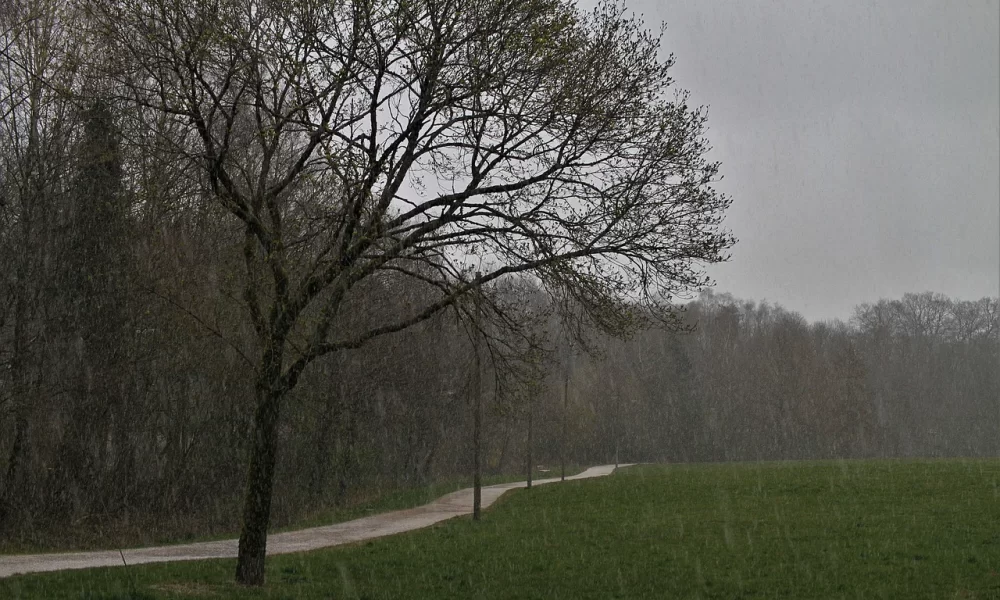 prognoza meteo