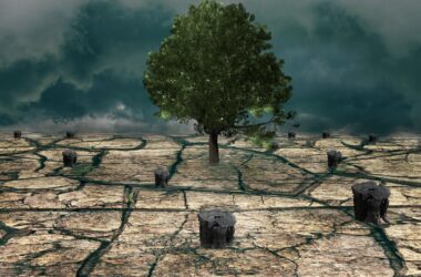 Prognoza meteo
