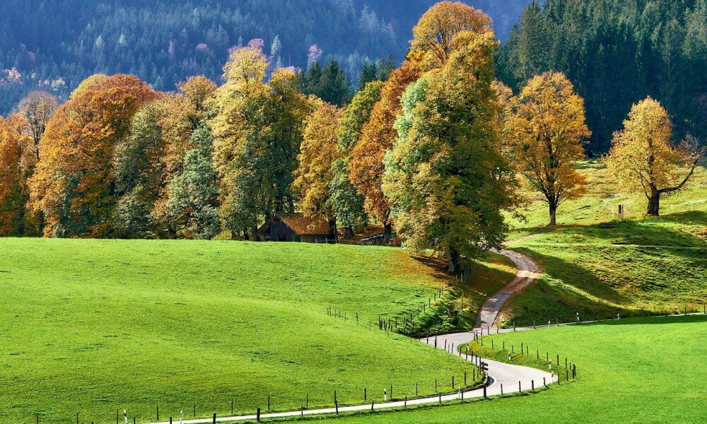 Prognoza meteo, 8 septembrie. Temperaturi ridicate