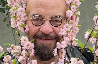 Ministerul Sănătății