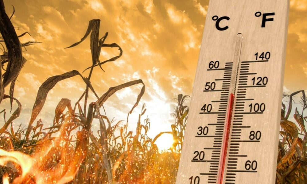 Prognoza meteo