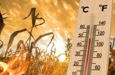 Prognoza meteo