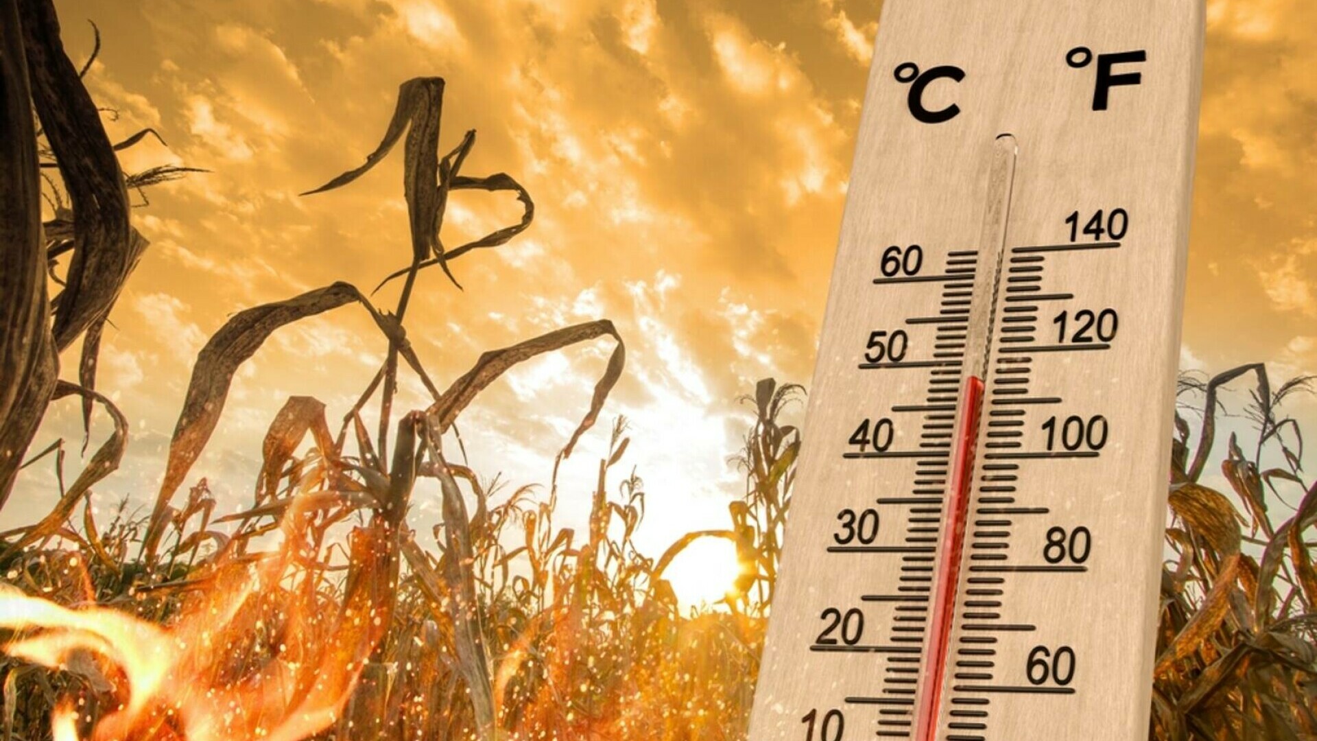 Weekend-ul începe cu un val de căldură și temperaturi estivale peste medie