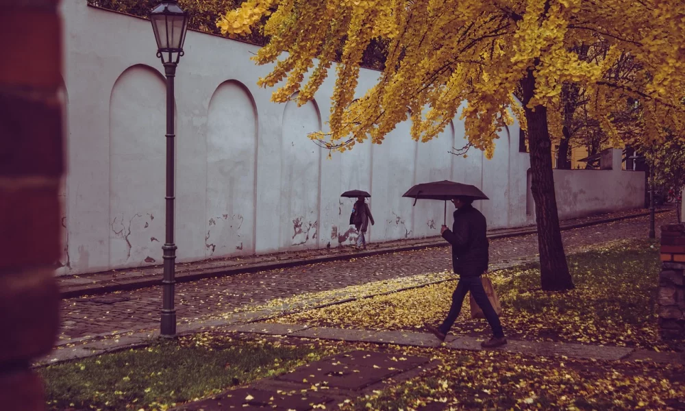 Prognoza meteo