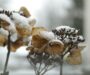 Prognoza meteo, 25 octombrie. Frig, ploi și ninsori la munte. Vreme capricioasă la început de weekend