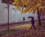 Prognoza meteo, 26 octombrie. Vreme mohorâtă și ploi în mare parte din țară. Unde se vor înregistra ninsori