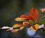 Prognoza meteo, 24 octombrie. Vreme capricioasă la început de weekend. Temperaturile scad semnificativ în toată țara