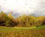 Prognoza meteo, 11 octombrie. Weekend cu vreme instabilă: ploi, rafale de vânt și ceață pe alocuri