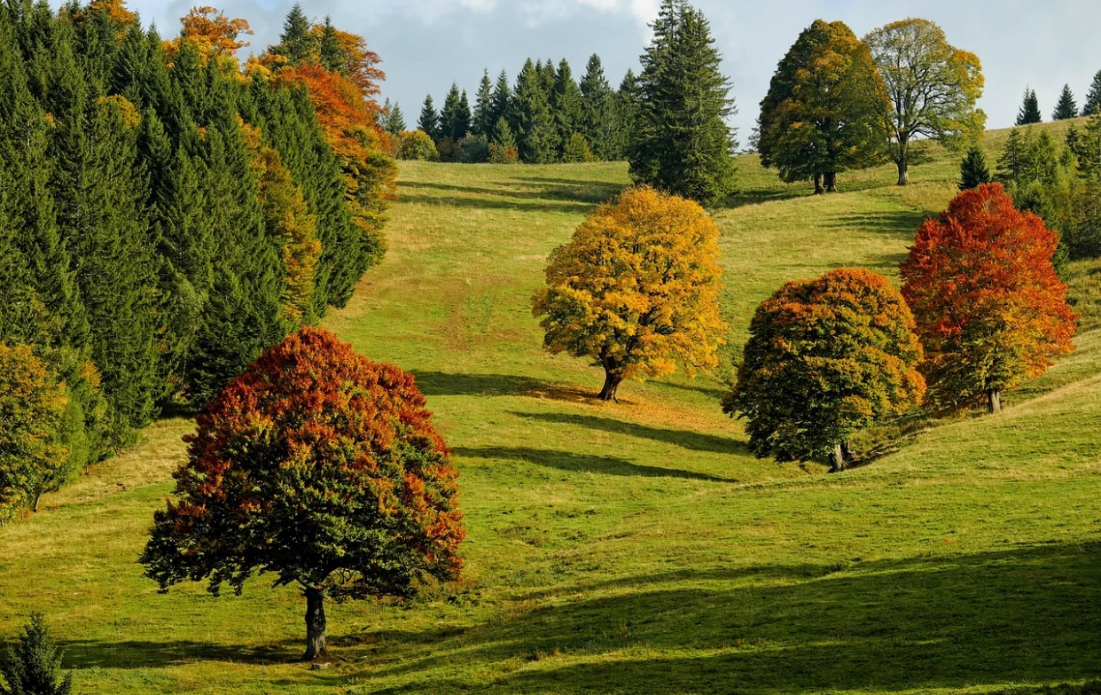 Weekend cu temperaturi neobișnuit de ridicate și vreme ideală pentru grătare în țară