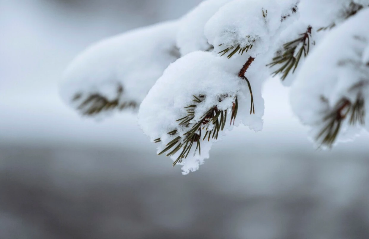 temperaturi mai ridicate, ninsori și polei în anumite județe