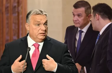 PSD