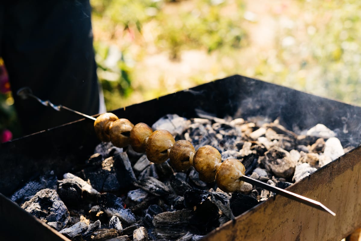 Alegerea cărbunilor ideali pentru grătar cu temperatură uniformă la carne, legume și pește