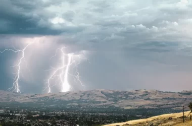 ANM