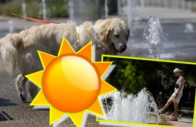 Prognoza meteo 16 august 2026. Revine canicula! Unde va ploua în orele următoare