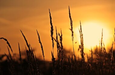 Prognoza meteo, 29 septembrie. Vreme schimbătoare în România