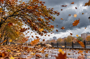 Prognoza meteo, 19 octombrie. Ninsori, ploi și rafale de vânt